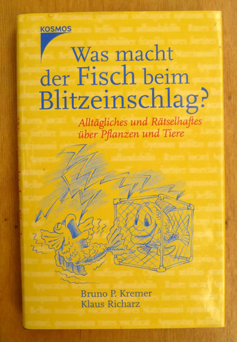 Kremer richarz was macht der - kremer/richarz:,