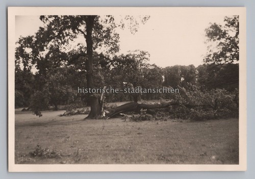 Hannover herrenhausen 1956 - hannover-herrenhausen,